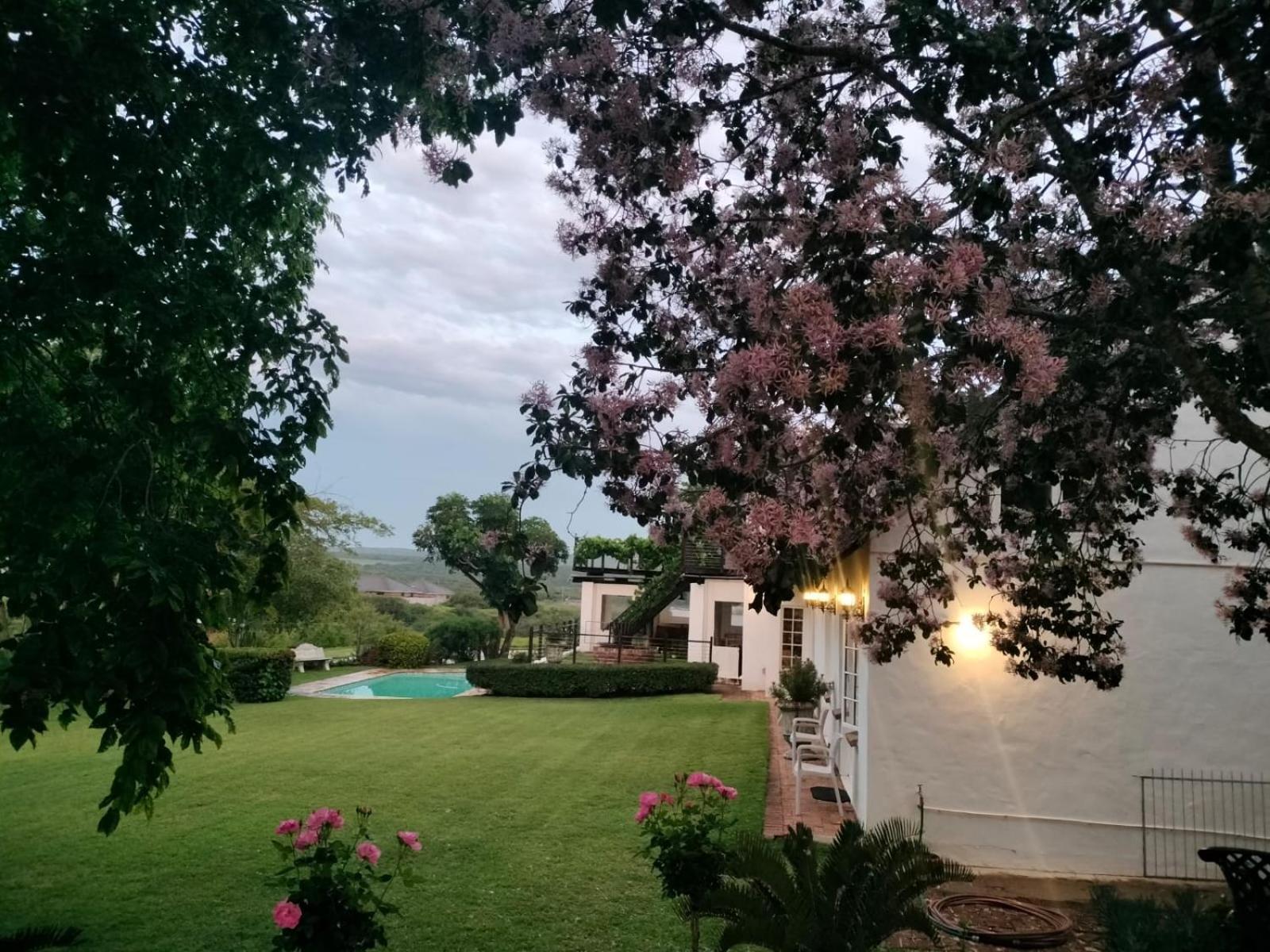 Bed and Breakfast Little Tree Loft 2 à Uitenhage Extérieur photo